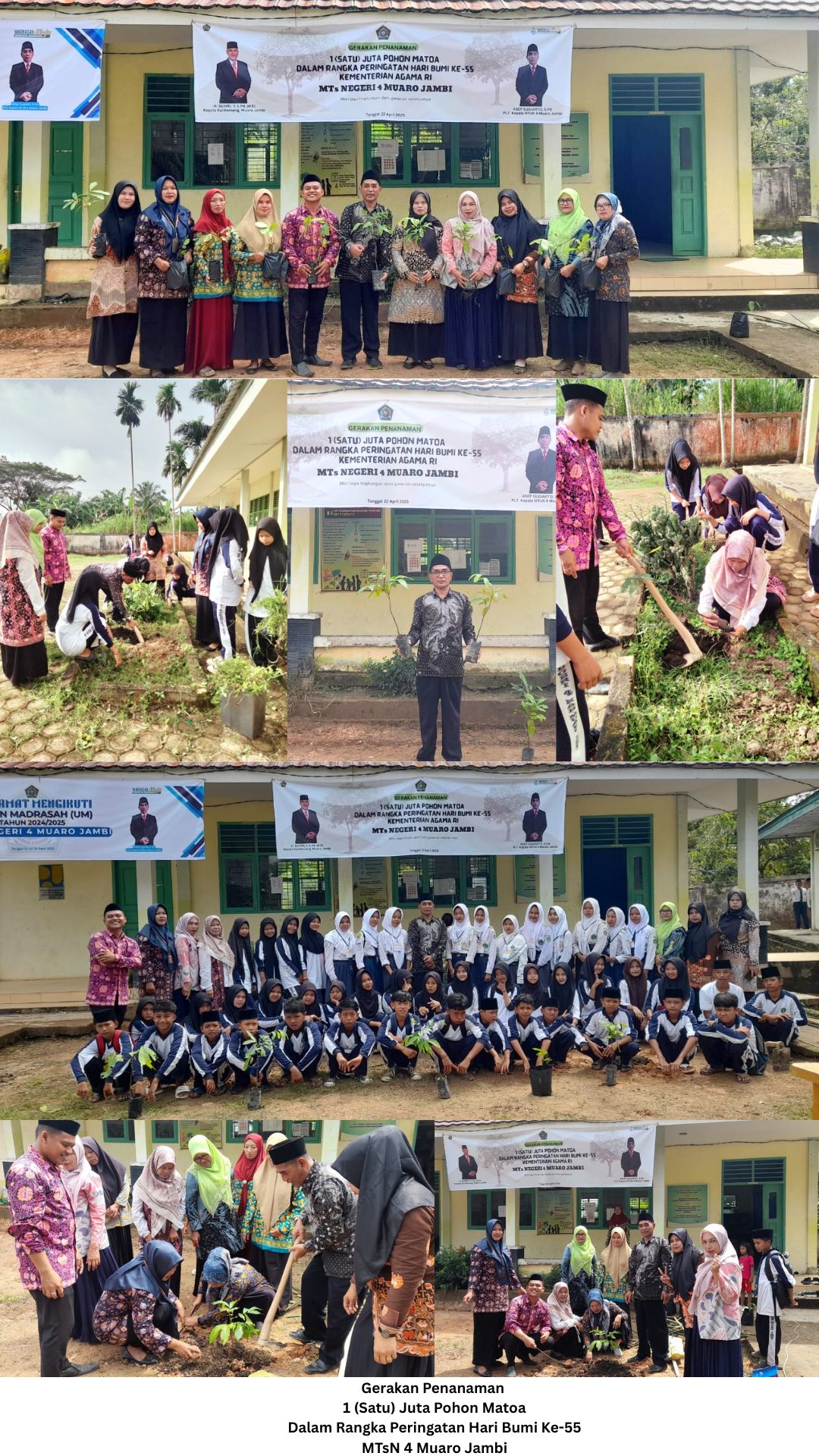 MTsN 4 Muaro Jambi Sukseskan Gerakan Penanaman 1 (Satu) Juta Pohon Matoa MTsN 4 Muaro Jambi Sukseskan Gerakan Penanaman 1 (Satu) Juta Pohon Matoa